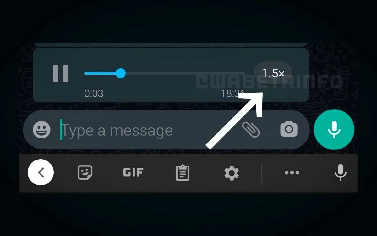 whatsapp changer