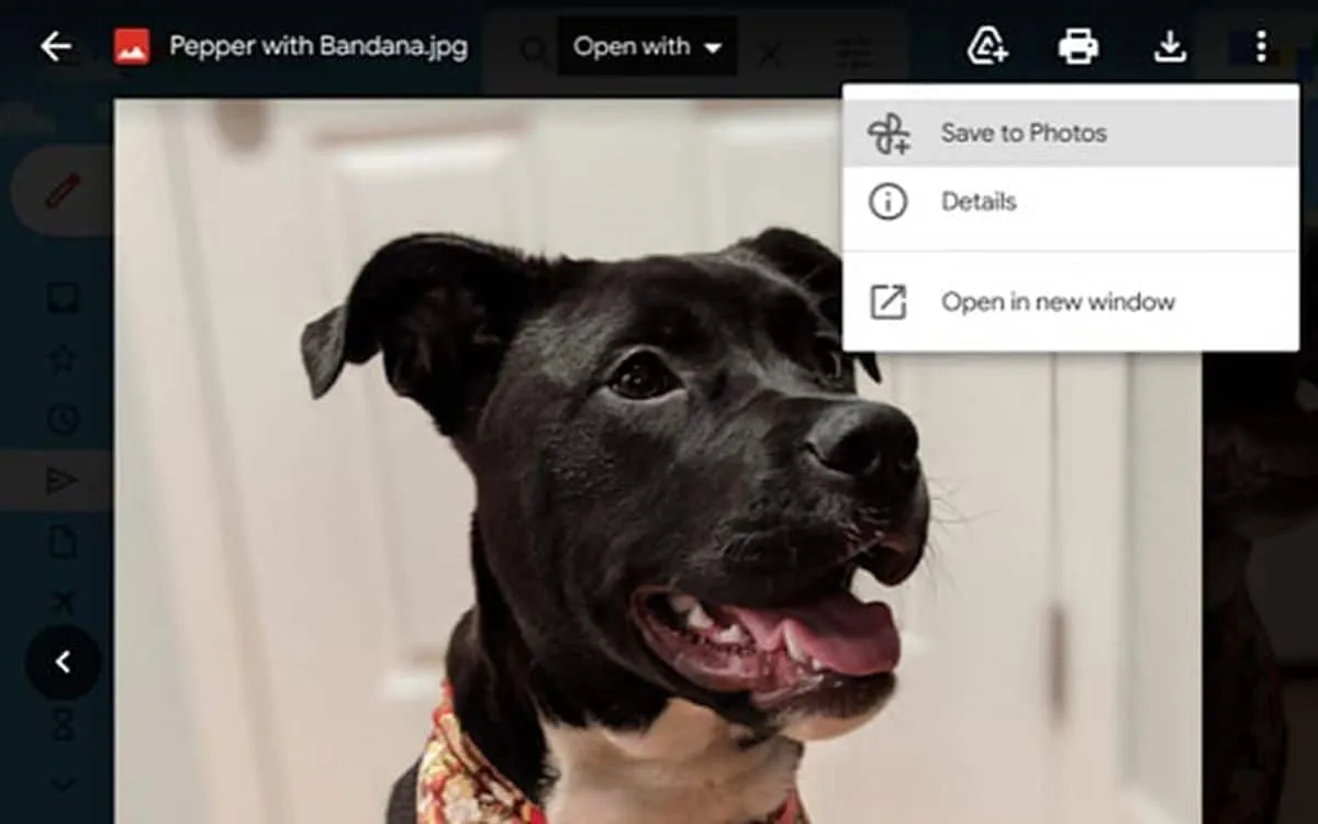 Ora puoi salvare le foto allegate nei messaggi di Gmail direttamente su Google Foto 9 dims