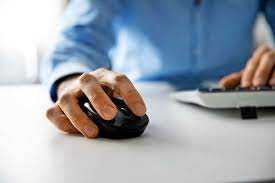 mouse