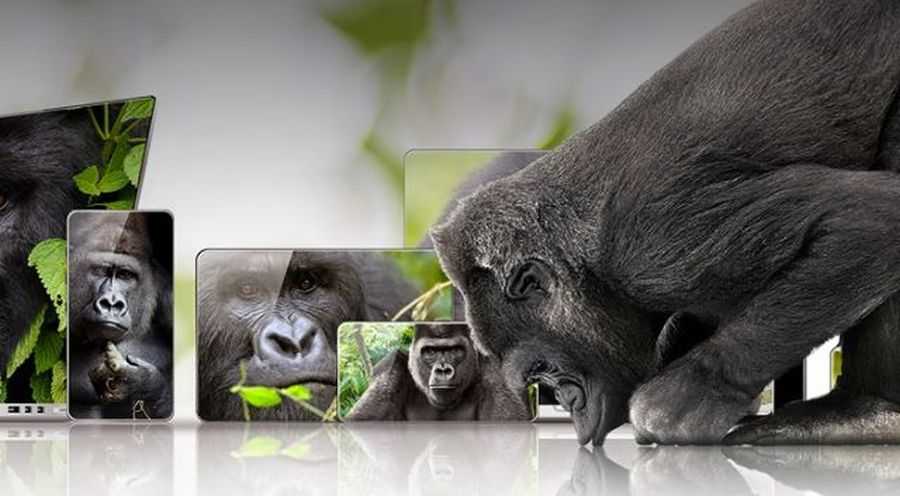GorillaGlass