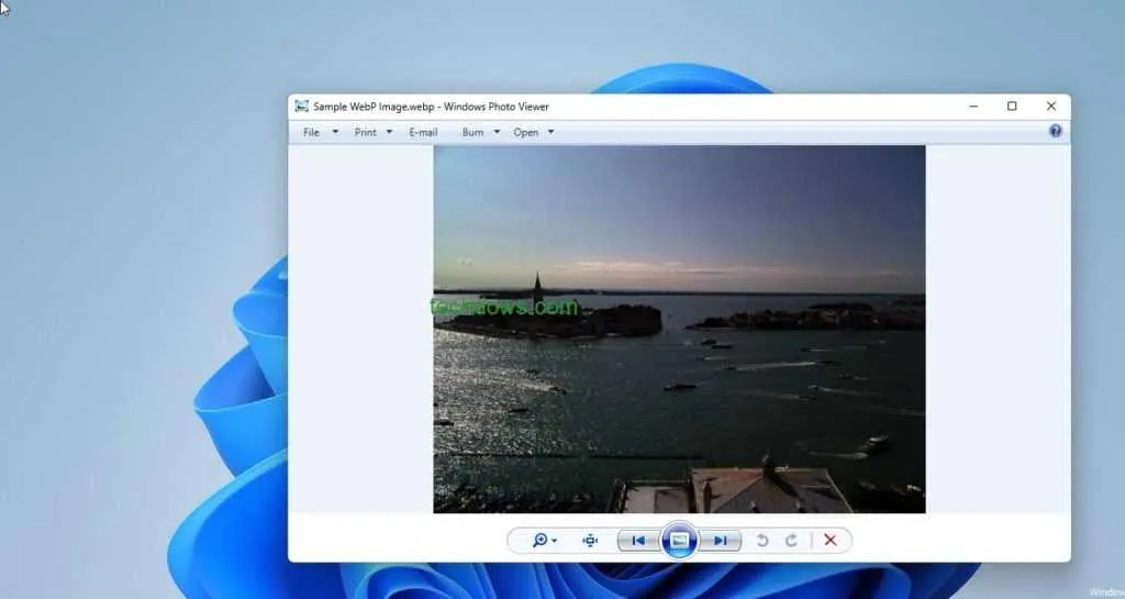Dopo AVIF, il dirigente senior di Microsoft conferma il supporto WebP sull'app Foto di Windows 11 12 Sample webp image opened in Windows Photo Viewer Windows 11 1 1024x545 1