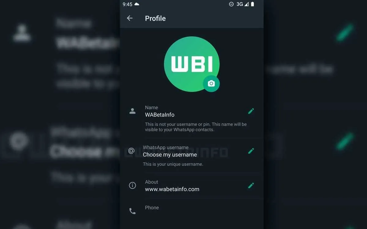 whatsapp pseudo