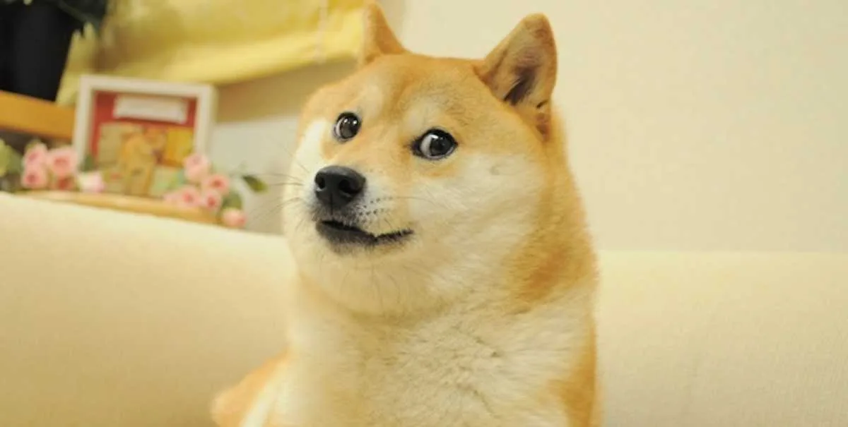 ??????????????????
