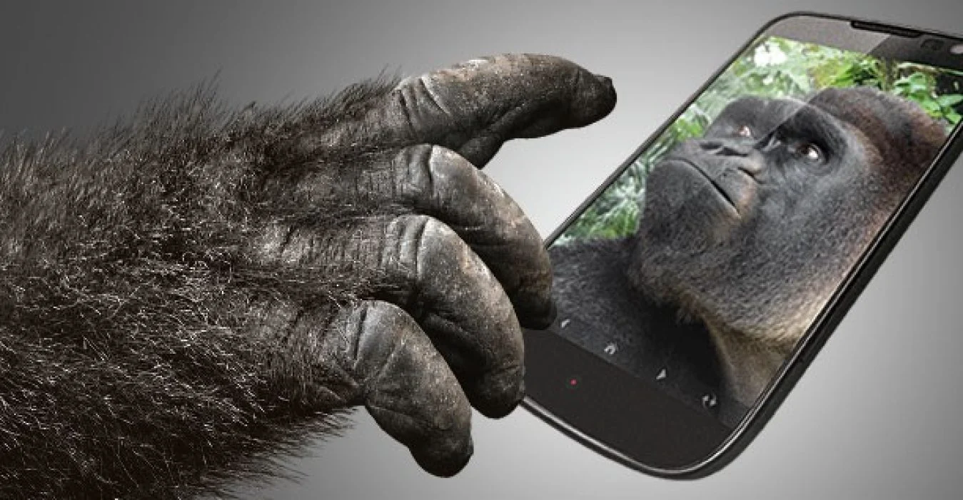 gorilla glass