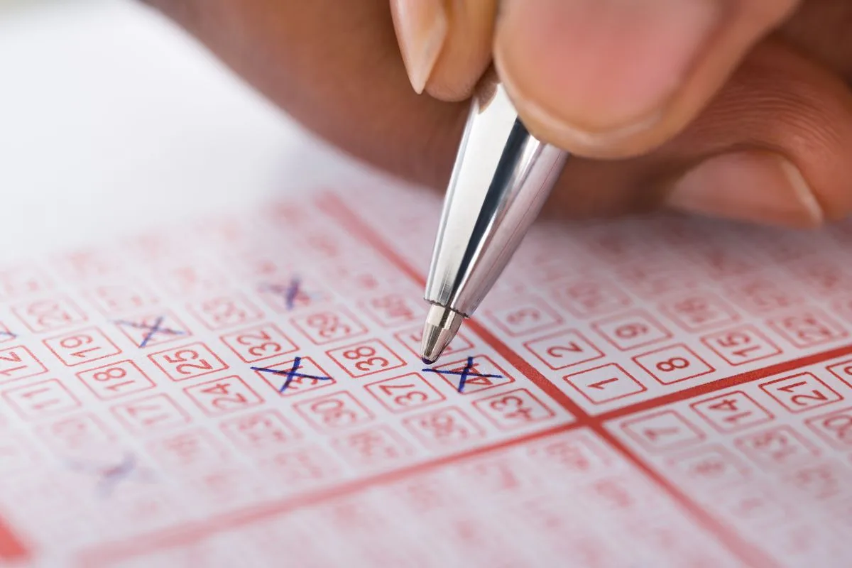 SH lotto lotteria