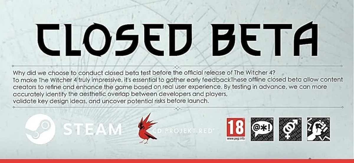 witcher4 beta