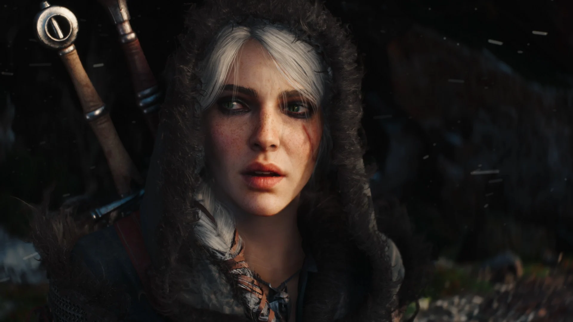 the witcher 4 6
