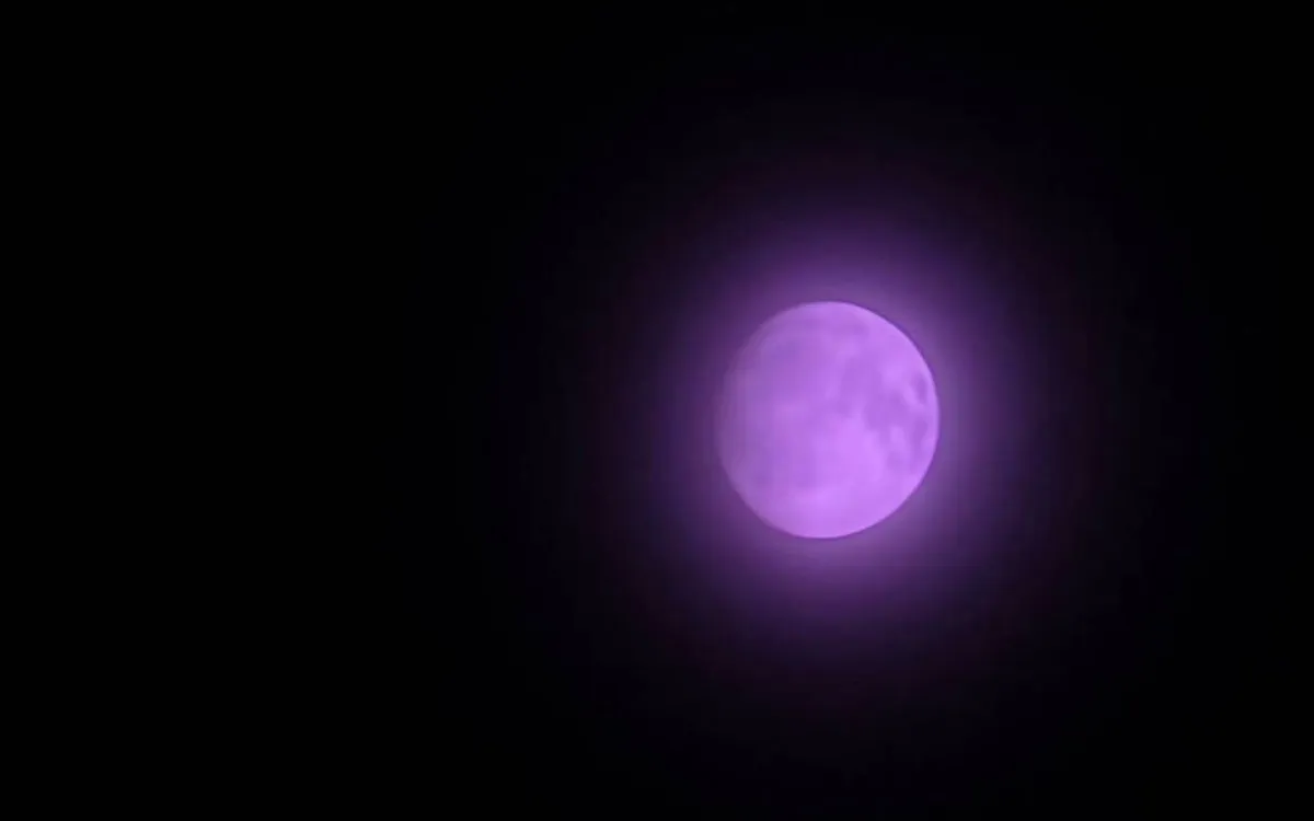 bug lune samsung