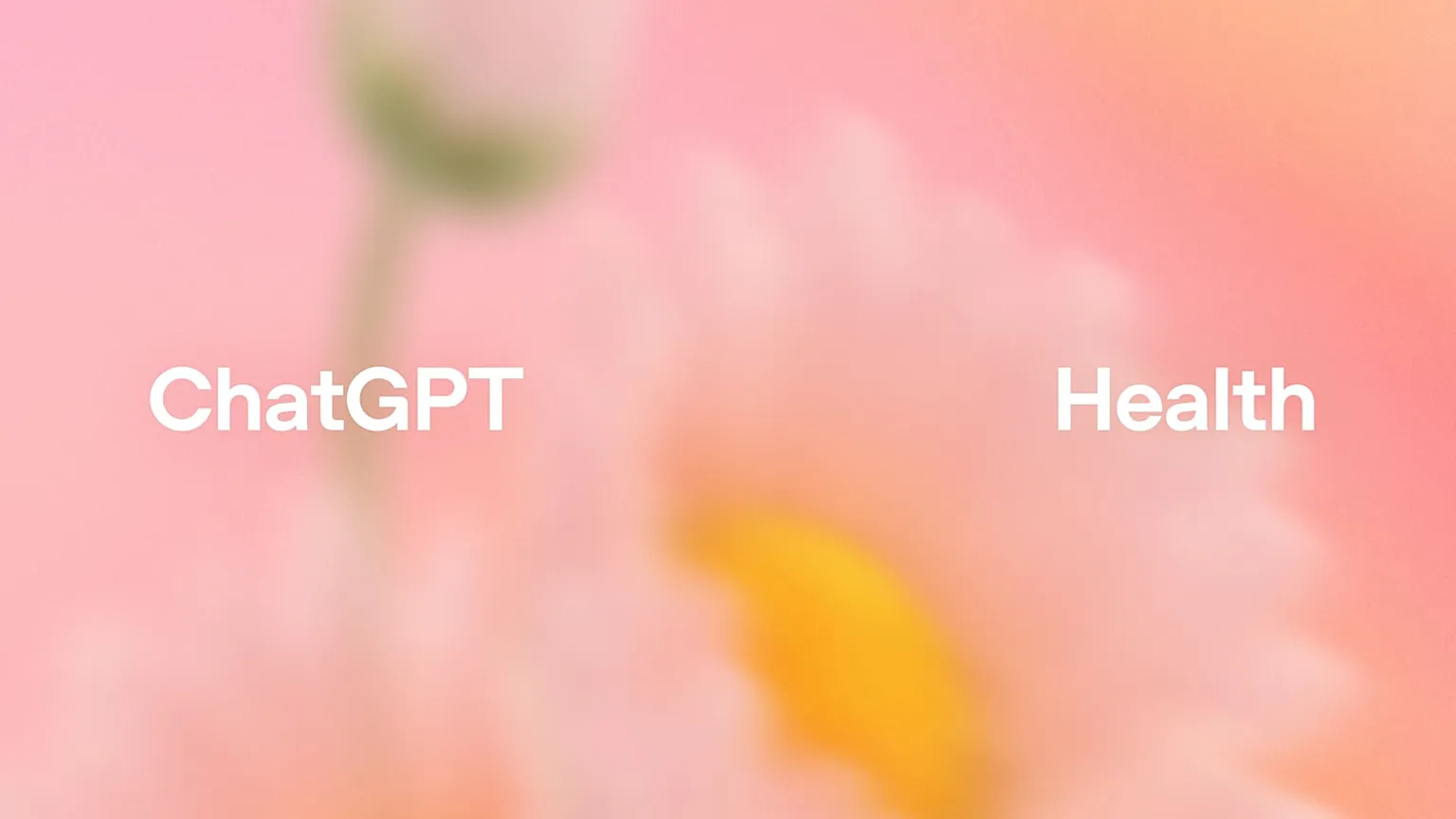 OpenAI presenta ChatGPT Health, uno spazio privato per il benessere e la consulenza medica 13 ChatGPT Health