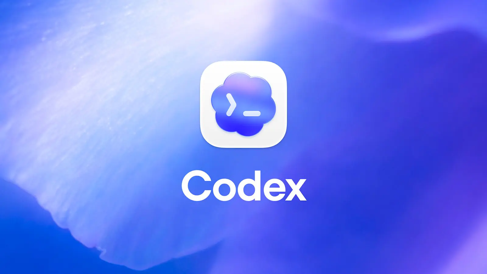 open ai codex