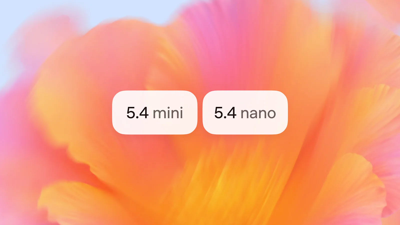 5 4 Mini Nano Hero SEO
