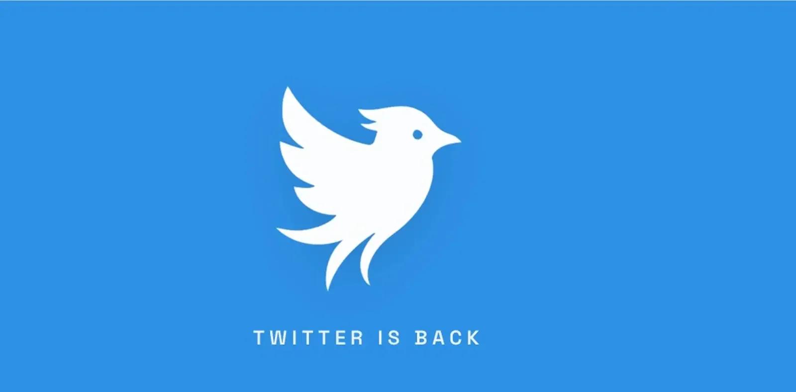 twitter